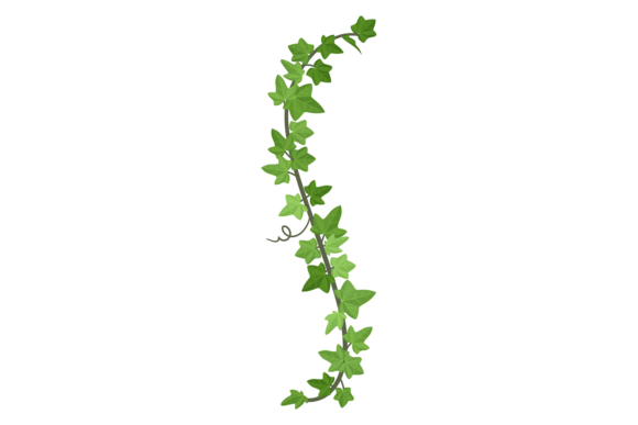 Decorative Green Creeper: The Hanging Plant Font for Natural Branding
