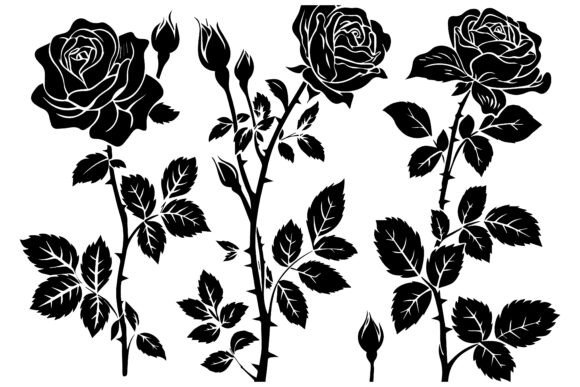 Elegant Botanical Art: The Set of Decorative Rose with Leaves